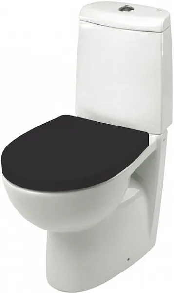 Крышка-сиденье Roca Victoria Nord ZRU9000103 с микролифтом фото 2