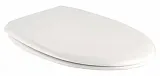 Крышка-сиденье BelBagno Linea BB9363SC с микролифтом фото 1