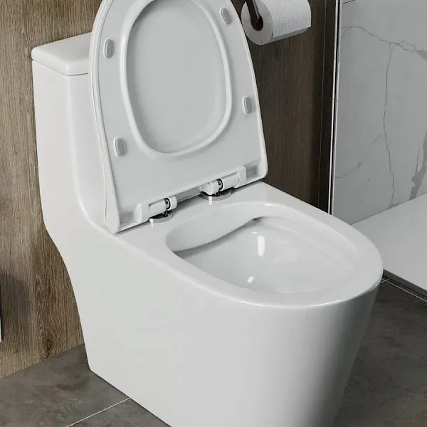 Унитаз-компакт Teymi Rita W00121 напольный безободковый с микролифтом фото 4