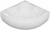 Экран для ванны Aquanet Flores 150 см 176551 фото 2