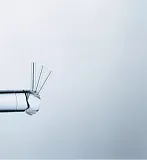 Смеситель Grohe Minta 31375000 для кухонной мойки фото 5