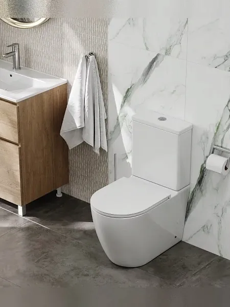 Унитаз-компакт Watersense Milana R W00747 напольный безободковый с микролифтом фото 3