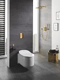 Смывная клавиша для унитазов Grohe Skate Cosmopolitan 38732GL0 фото 2