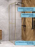 Душевая перегородка Watersense Eva W00208 фото 2