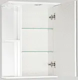 Зеркало-шкаф Style Line Николь 50x73 ЛС-00000116 с подсветкой фото 2