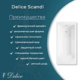Ванна из искусственного камня Delice Scandi DLR330023R-G фото 5