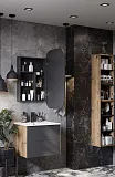 Зеркало-шкаф Акватон Сохо 60x96 см 1A258302AJA0R правое фото 5