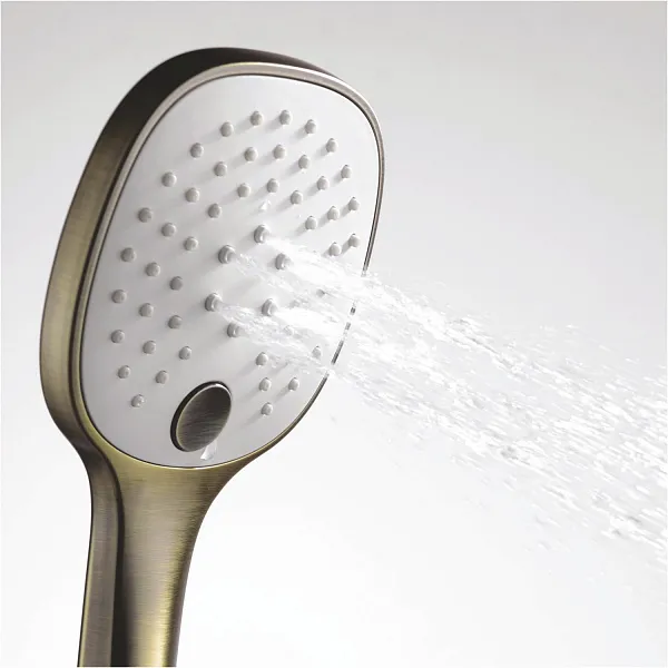 Душевая лейка WasserKRAFT A050 фото 3