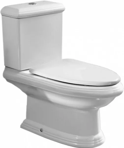Крышка-сиденье Roca America 801492004 с микролифтом фото 2