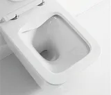 Унитаз подвесной Iberica Blanca Toledo IB.TLD.231.1B1 безоободковый с микролифтом фото 8