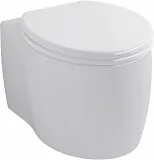 Крышка-сиденье BelBagno BB2004SC с микролифтом фото 3