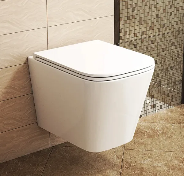 Унитаз Owl 1975 Vatter TOWLT190403S подвесной безободковый с сиденьем микролифт фото 7