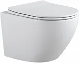 Унитаз Aquanet Cetus 2.0 W 243541 подвесной безободковый с микролифтом фото 1