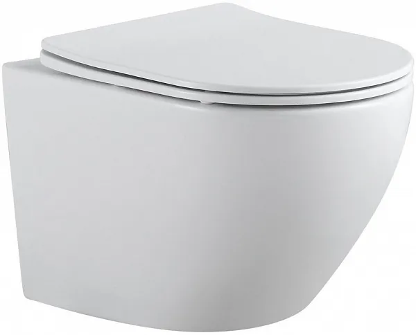 Унитаз Aquanet Cetus 2.0 W 243541 подвесной безободковый с микролифтом фото 1