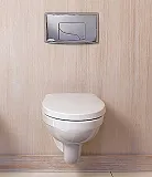 Унитаз Jacob Delafon Patio E4187-00 подвесной безободковый фото 2
