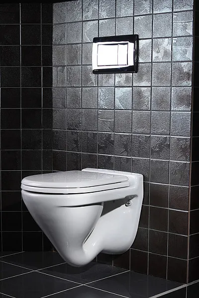 Унитаз Sanita Luxe Attica WC.WH/Attica/DM/WHT.G/S1 подвесной с сиденьем микролифт фото 6