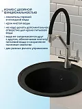 Смеситель для кухонной мойки Watersense Rita W01769 фото 2