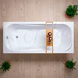 Ванна из искусственного камня Delice Triumph DLR330010-G фото 6