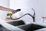 Смеситель Lemark Intense LM5650C для кухонной мойки фото 3
