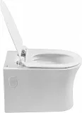 Унитаз Aquanet Roll-W 210766 подвесной безободковый с микролифтом фото 6