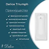 Ванна из искусственного камня Delice Triumph DLR330012-M фото 4