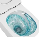 Унитаз Owl 1975 Vatter TOWLT190403S подвесной безободковый с сиденьем микролифт фото 3