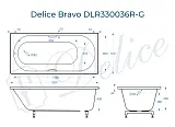 Ванна из искусственного камня Delice Bravo DLR330036R-G фото 2