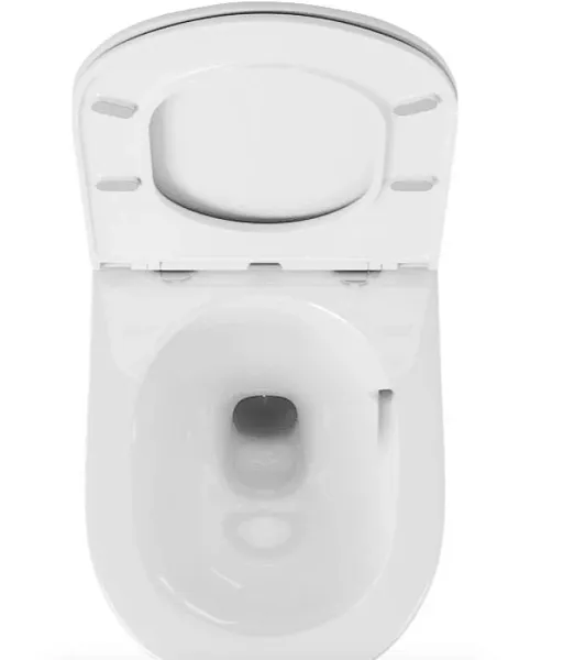 Унитаз Owl 1975 Wave TOWLT190801 подвесной безободковый с сиденьем микролифт фото 5