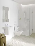 Чаша унитаза Laufen Palace 8.2070.6.000.000.1 подвесная безободковая фото 3