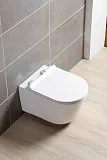 Унитаз Aquatek Оберон AQ1363W-00 подвесной с микролифтом фото 2