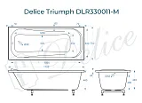 Ванна из искусственного камня Delice Triumph DLR330011-M фото 1