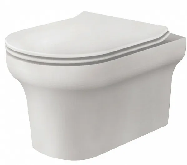 Крышка-сиденье BelBagno BB2031SC с микролифтом фото 5