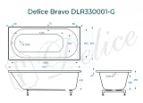 Ванна из искусственного камня Delice Bravo DLR330001-G фото 1