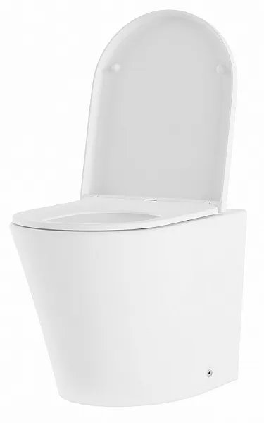 Унитаз Lavinia Boho Biore 33040040 приставной с микролифтом фото 2