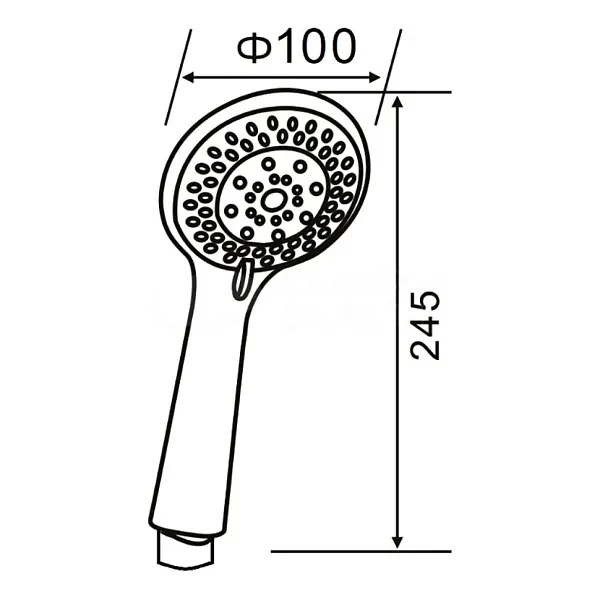Душевая лейка PAINI Monza 50CR155/P20KM фото 3
