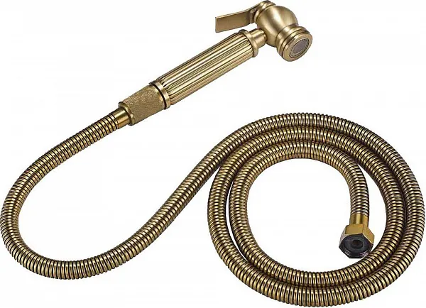 Гигиенический душ ZorG Antic AZR 3 LB BR фото 1