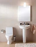 Раковина IFO Frisk RS020600000 60 см фото 2