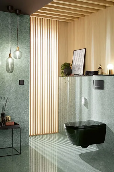 Смывная клавиша для унитазов Villeroy & Boch Viconnect 9221 69 AN фото 3