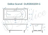 Ванна из искусственного камня Delice Scandi DLR330025R-G фото 2