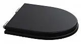 Крышка-сиденье Caprіgo Tempo KFE-TC-B032 с микролифтом фото 1