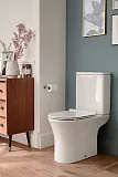 Крышка-сиденье Jacob Delafon Aleo E33127-0 быстросъемное с микролифтом фото 2