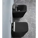 Унитаз Azario Teramo AZ-052-MB подвесной безободковый с сиденьем микролифт фото 4
