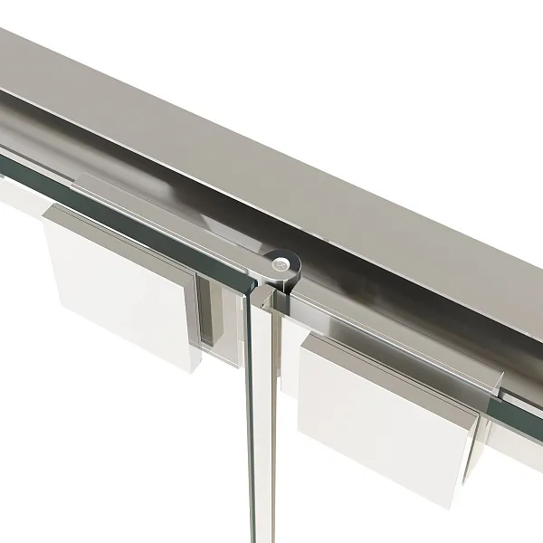 Душевая дверь RGW Passage 06082107-11 фото 2