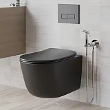 Гигиенический душ PAINI Castello CACR442R фото 3