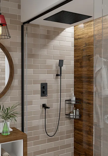 Душевой комплект TIMO Petruma SX-5019/03SM фото 3