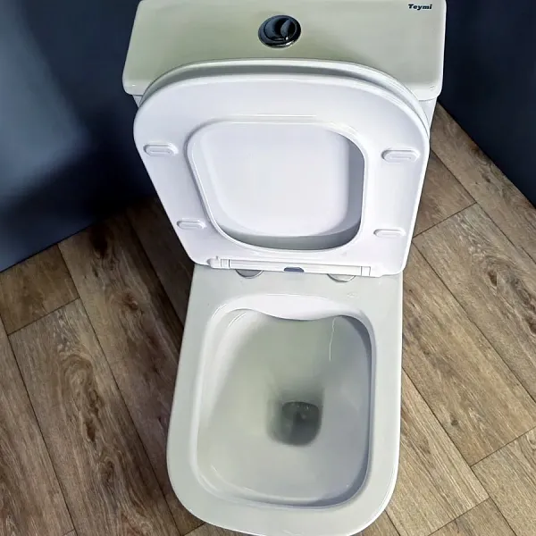Унитаз-компакт Watersense Eva Pro W00138 напольный безободковый с микролифтом фото 11