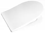 Крышка-сиденье BelBagno BB2031SC с микролифтом фото 1