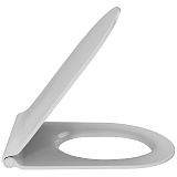 Крышка-сиденье Jacob Delafon Rodin+ E23280-00 с микролифтом фото 1