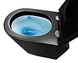 Унитаз Azario Teramo AZ-0053-UQ3-MB подвесной безободковый с сиденьем микролифт фото 6