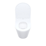 Унитаз Iddis Calipso CALRNSEi25 подвесной безободковый с сиденьем микролифт фото 3
